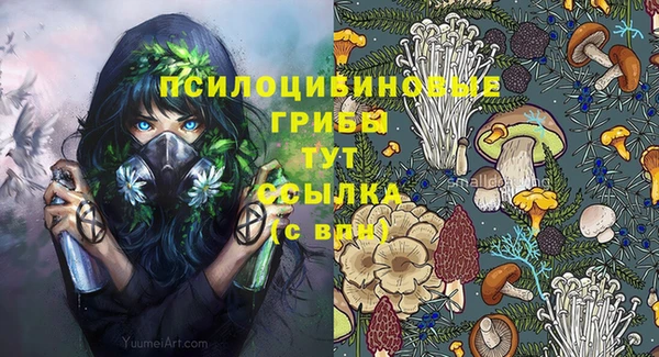 первитин Богданович