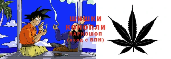 первитин Богданович