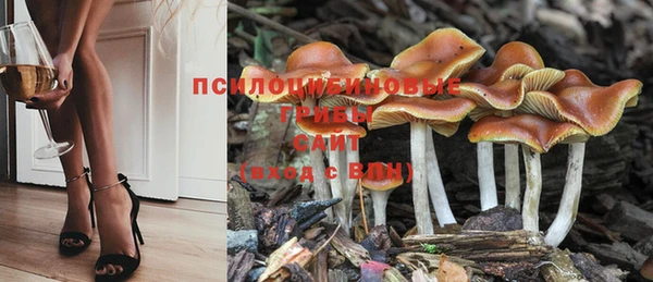 марихуана Верхний Тагил