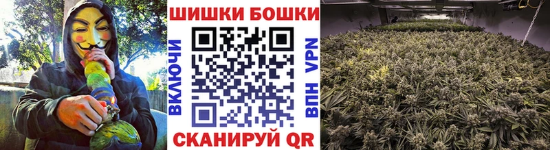 Шишки марихуана планчик  Старица 